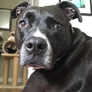 Meet your Posher, Kristen